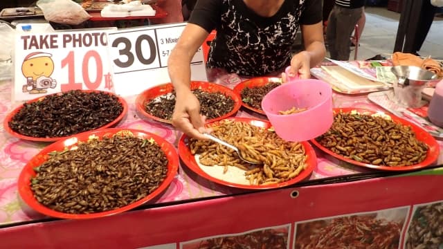 タイの昆虫食の種類と屋台メニューは？日本人に人気の昆虫スナックお土産も！