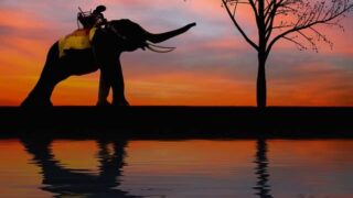 ワット・プララームの行き方と所用時間は？アユタヤ遺跡のおすすめ回り方も