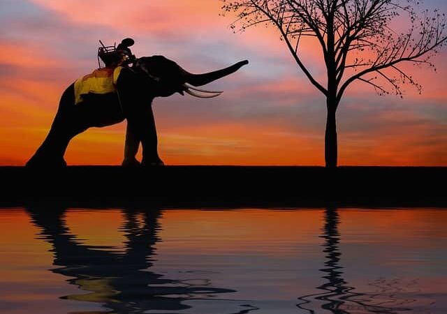 ワット・プララームの行き方と所用時間は？アユタヤ遺跡のおすすめ回り方も