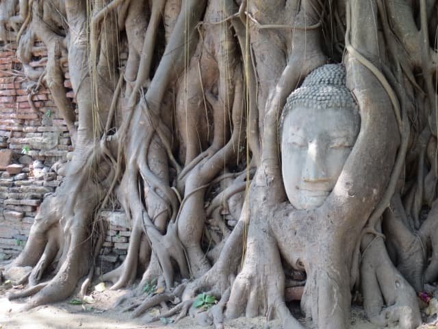 アユタヤ アユタヤ遺跡とは アユタヤ観光 行き方 料金 破壊 ランキング 料金 トゥクトゥク 穴場 観光ツアー回り方 半日 モデルコース 像乗り 所要時間 おすすめルート 服装 歴史 地図